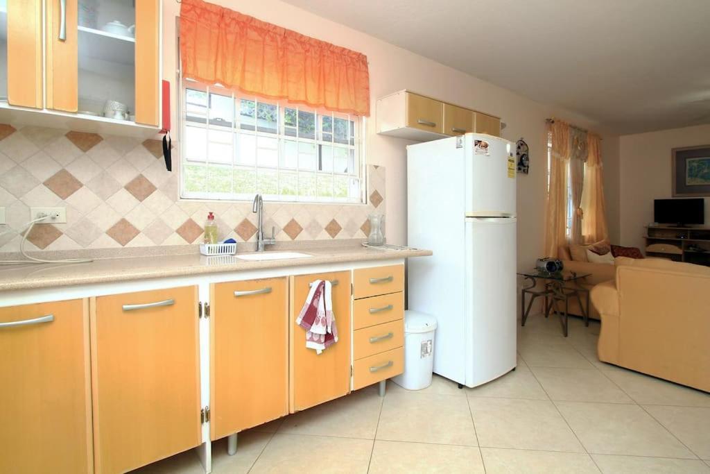 Вилла Sungold House Barbados Сент-Питер Экстерьер фото